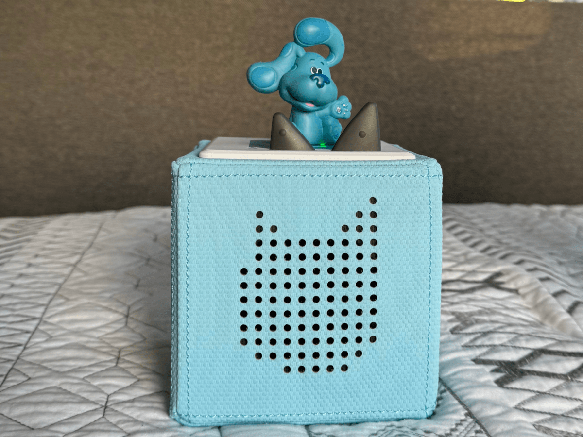 Child Playing With Blue'S Clues & You Tonie