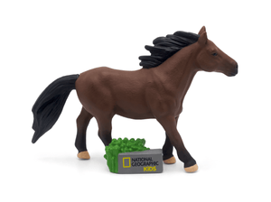 National Geographic Kids: Horse Tonie