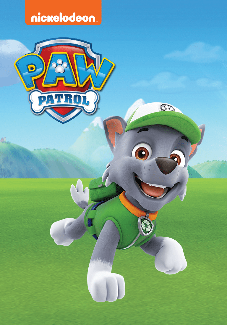 PAW Patrol: Rocky Tonie | Illustration