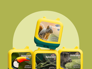 Wildlife in the Woods Pocket Tonies