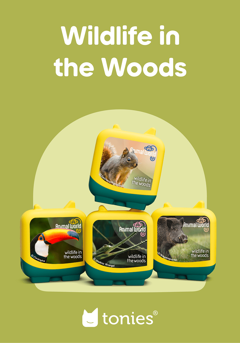 Wildlife in the Woods Pocket Tonies