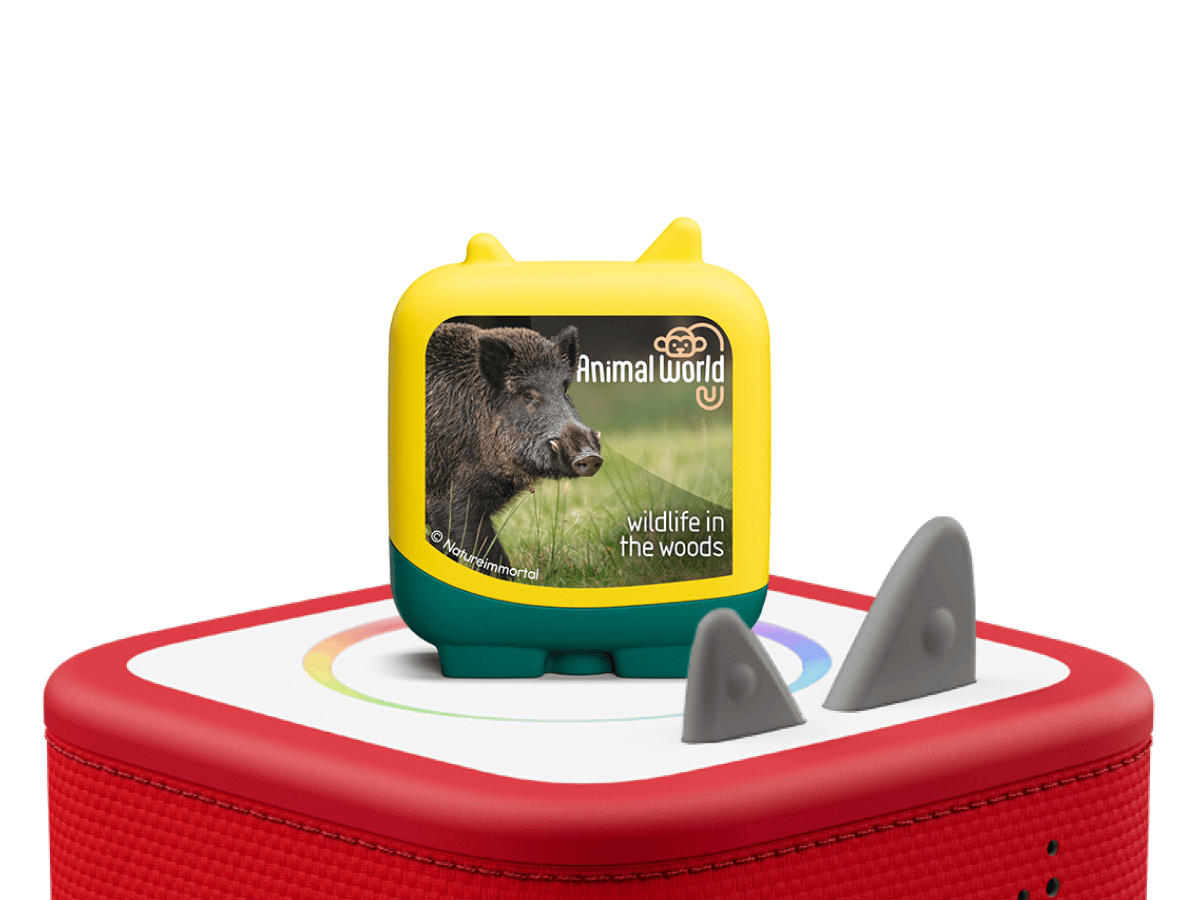 Animal World Wildlife in the Woods Clever Tonie on a red Toniebox 2 ready to play audio stories and songs