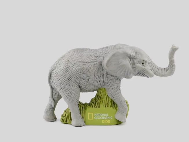 Elephants | 360 rotation image